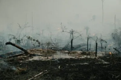 LACUNAS NA LEGISLAÇÃO AGRÁRIA INCENTIVAM GRILAGEM E DESMATAMENTO