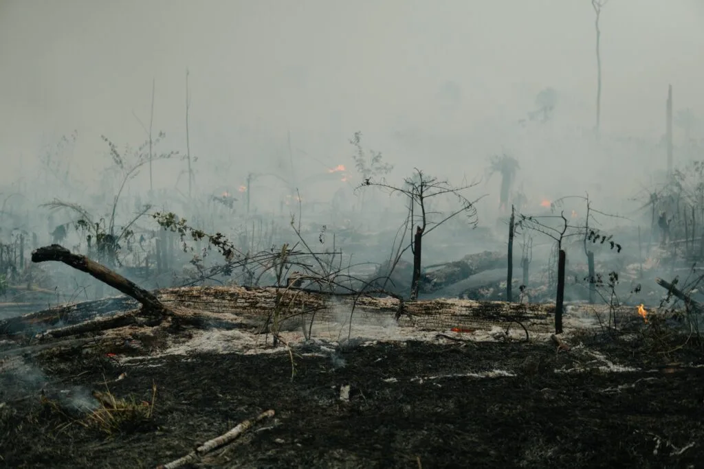 HOME 2 LACUNAS NA LEGISLAÇÃO AGRÁRIA INCENTIVAM GRILAGEM E DESMATAMENTO