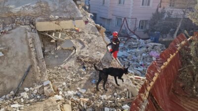 VENEZUELA ENTRE ESCOMBROS: TERREMOTOS AGRAVAM CRISE 2 Pessoa integrante de equipe de resgate, com capacete vermelho e uniforme escuro, caminha sobre escombros ao lado de um cão farejador. Ao redor, há construções destruídas, destroços e estruturas parcialmente desabadas.