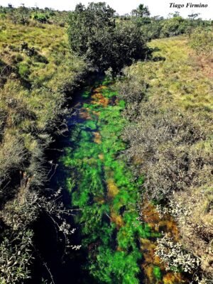 Rio Batalha Agua Cristalina Algas Rochas Cerrado panoramio