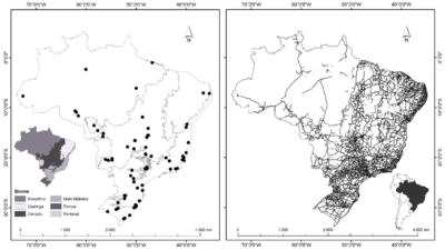 QUANDO AS RODOVIAS CRUZAM O CAMINHO DA BIODIVERSIDADE