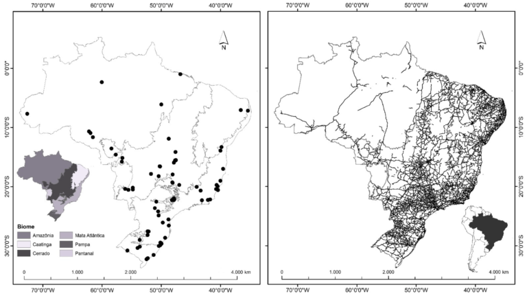 QUANDO AS RODOVIAS CRUZAM O CAMINHO DA BIODIVERSIDADE