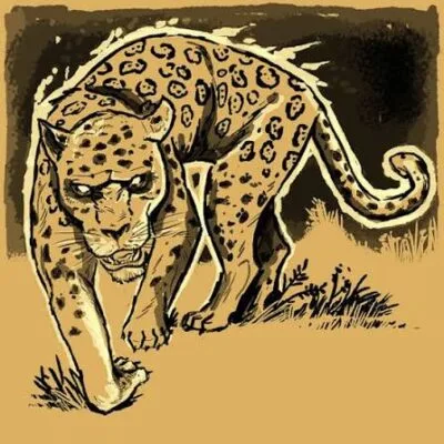 Ilustração de uma onça-pintada caminhando em direção ao observador, com a cabeça baixa e o olhar atento. O desenho, em tons de bege, marrom e preto, destaca a pelagem manchada e a postura do animal.