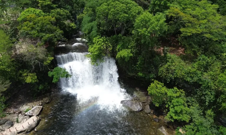 CERRADO: NEM BIOMA, NEM SAVANA: UM SISTEMA BIOGEOGRÁFICO