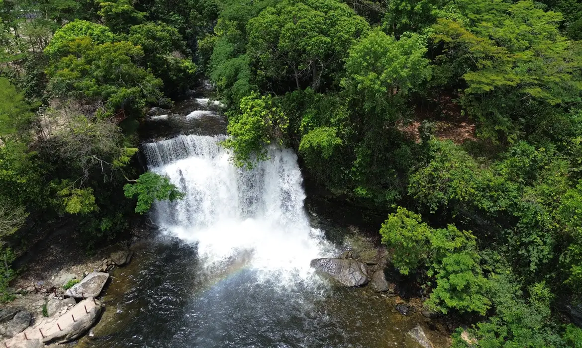 HOME 2 CERRADO: NEM BIOMA, NEM SAVANA: UM SISTEMA BIOGEOGRÁFICO