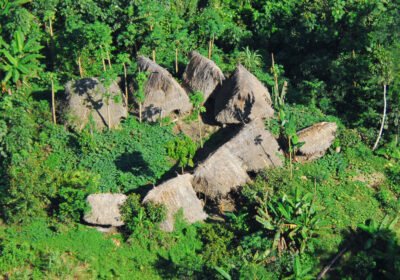 ÁRVORES: O VERDE QUE FAZ CHOVER 4 Indios isolados no Acre 13
